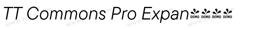 TT Commons Pro Expan字体转换 TT Commons Pro Expan字体转换